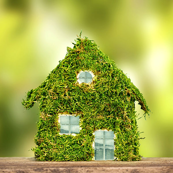 grünes Haus mit Moos umweltfreundlich